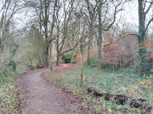 a tarmac path winds through autumn woodland, with trees on both sides